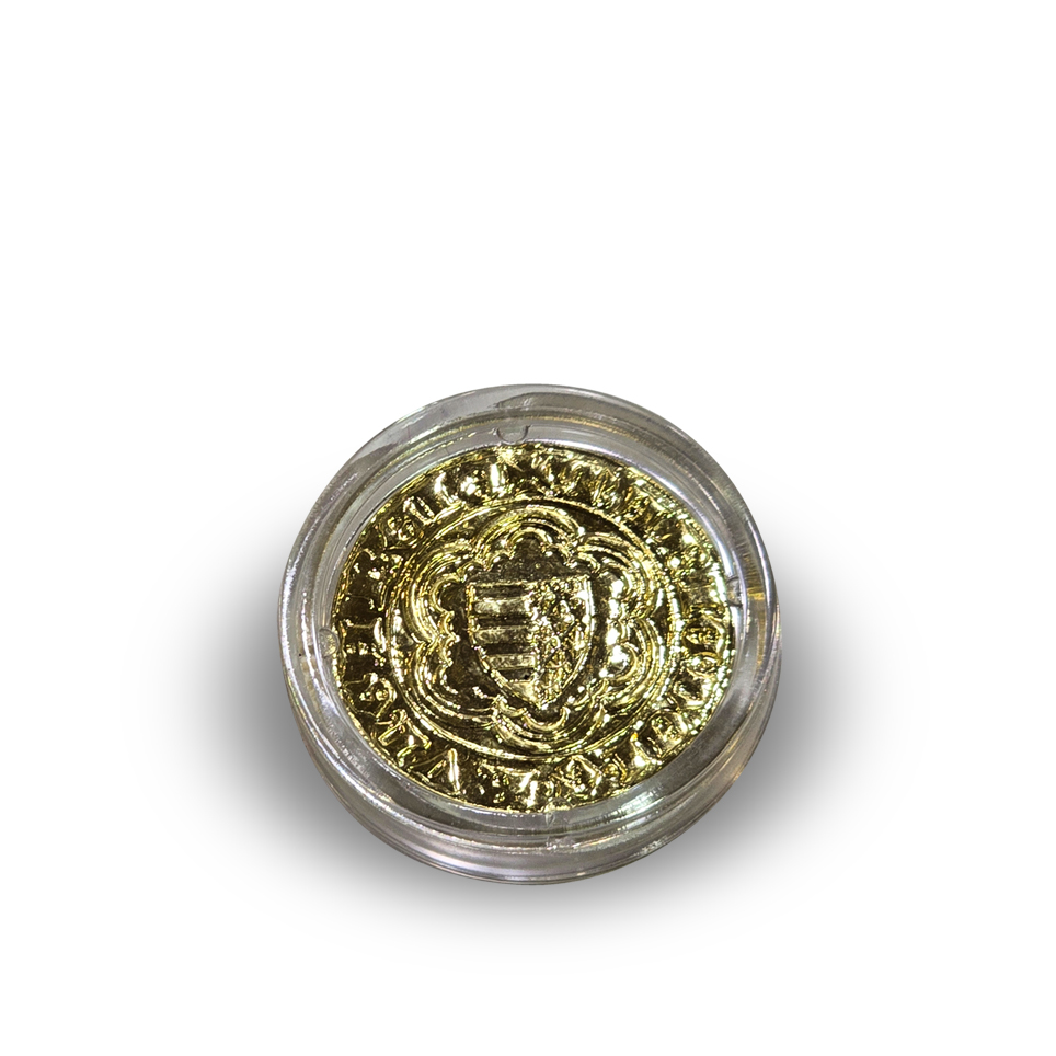 The Gold Forint of Queen Mary gilded, silver coin in box - Image 3