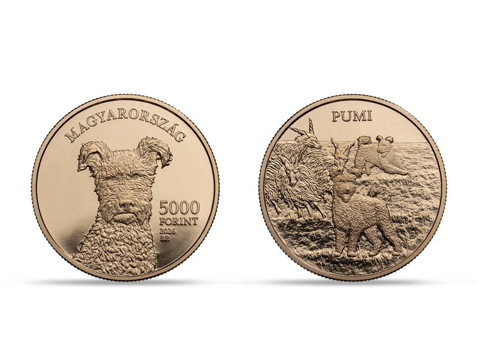 2026. évi Pumi színesfém emlékérme - „A Magyar pásztor- és vadászkutya-fajták” sorozat – 7. tagja (Proof like)